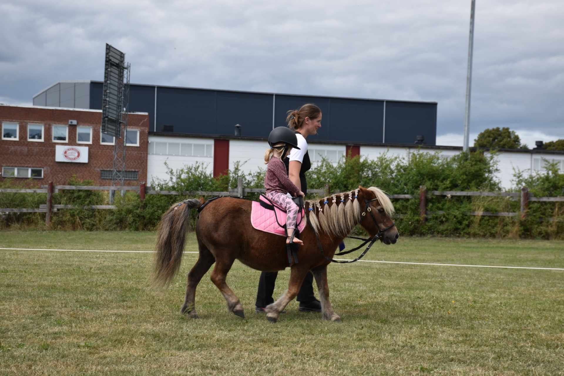 Uppsutten hoppning! Vinnare Lily 3år & Störtbäckens Mimmi 29(!)år