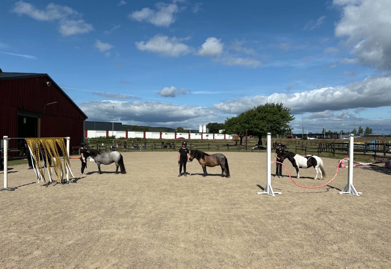 Alma & Zeka, Saga & Prinsen, Ines & Jimma. Foto: Annie Roos