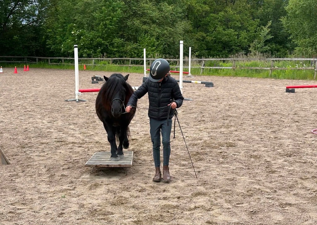 Vinnare! Filippa Svensson & Åkaregårdens Rosette